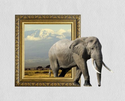 buy-furniture-online-elephant-min