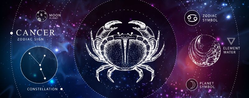 buy-furniture-online-modern-magic-witchcraft-card-with-astrology-cancer-zodiac-sign-realistic-hand-drawing-crab-illustration-zodiac-characteristic-180352484-min