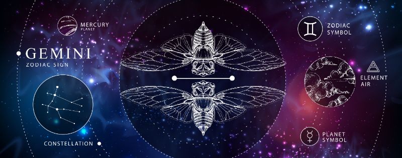 buy-furniture-online-modern-magic-witchcraft-card-with-astrology-gemini-zodiac-sign-realistic-hand-drawing-butterfly-or-cicada-illustration-zodiac-180352407-min