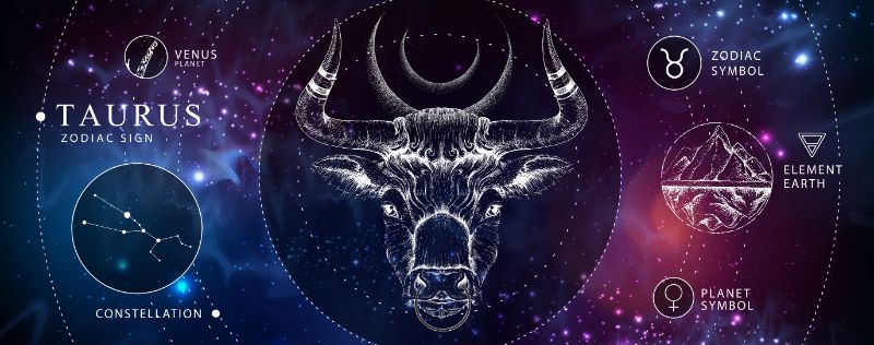 buy-furniture-online-modern-magic-witchcraft-card-with-astrology-taurus-zodiac-sign-realistic-hand-drawing-bull-head-zodiac-characteristic-180352567-min